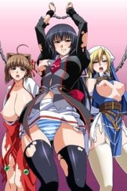Seito Kaichou Hikaru 1 Temporada Online